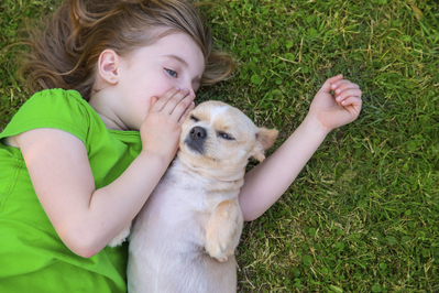 Girl whispering in dog's ear
